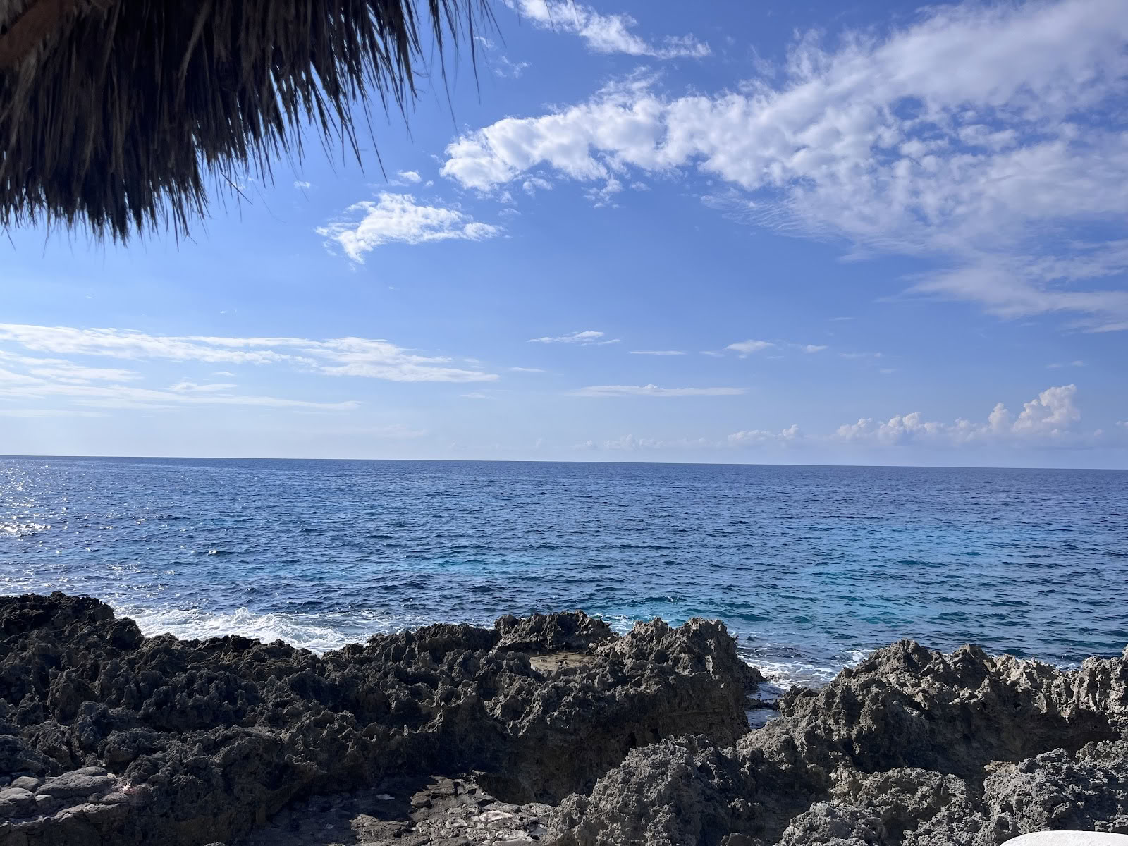 ONE Retreats | Psilocybin Mushroom Retreats