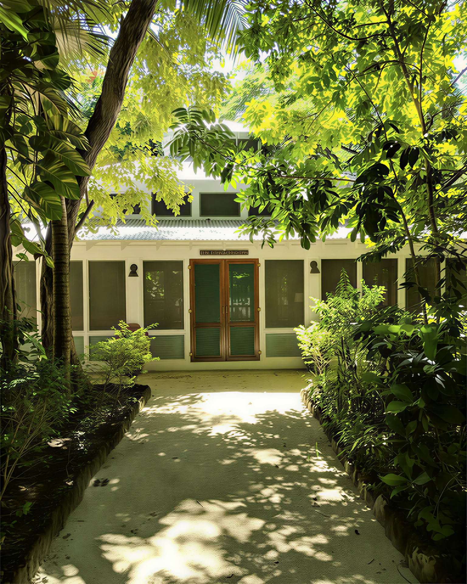 ONE Retreats | Psilocybin Mushroom Retreats