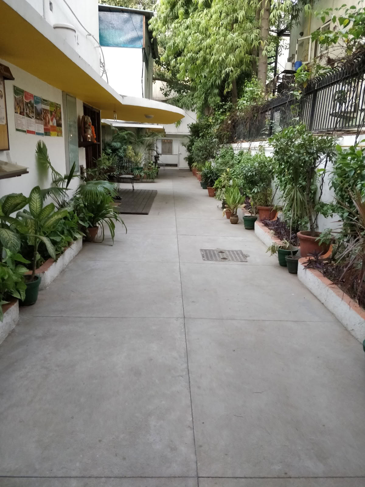 Sivananda Yoga, South Delhi