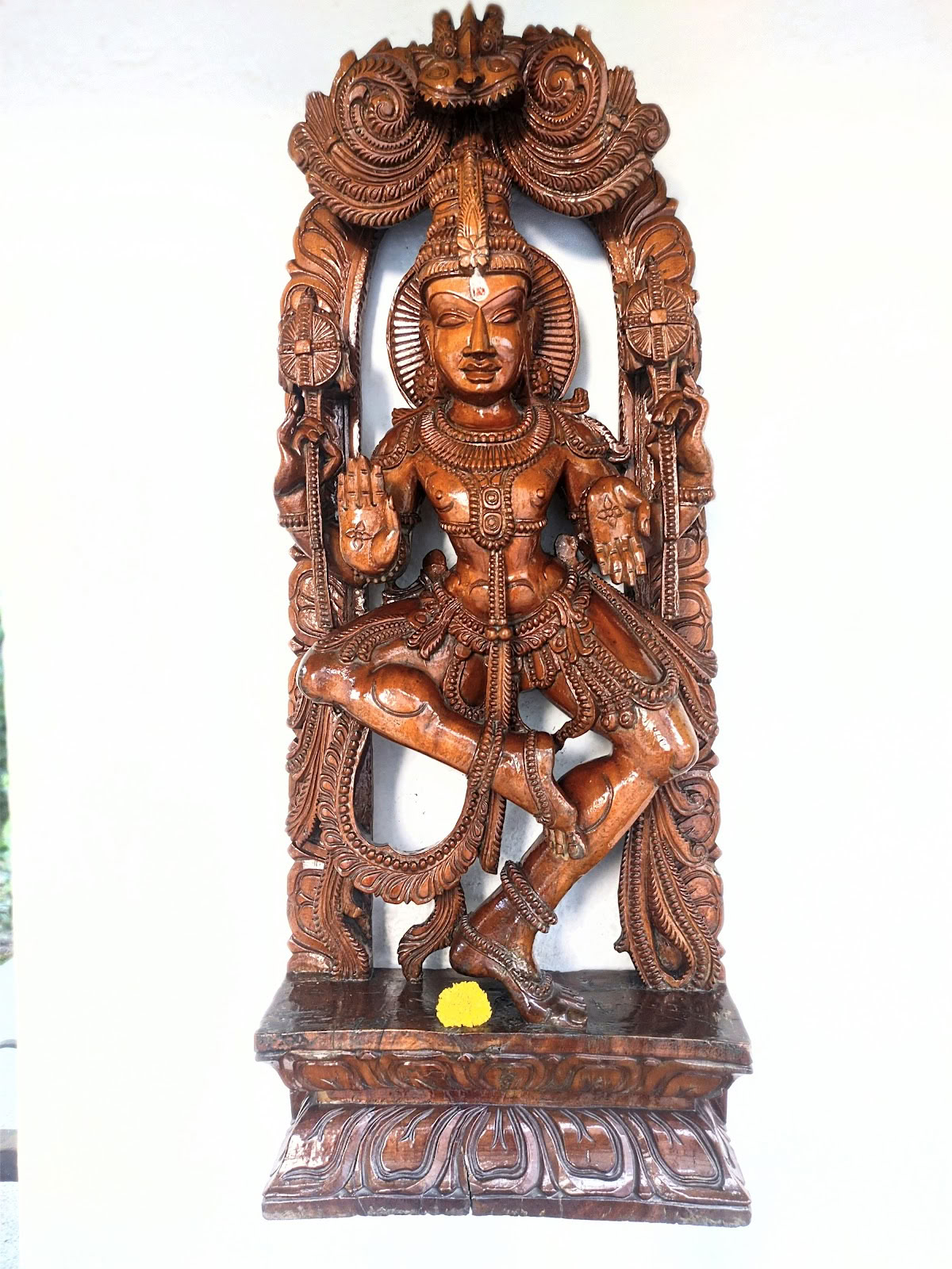 Sivananda Yoga, South Delhi