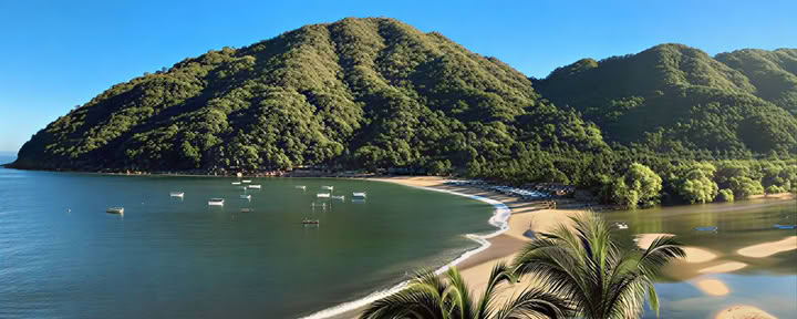 VIKARA WELLNESS Retreats & Holistic Health