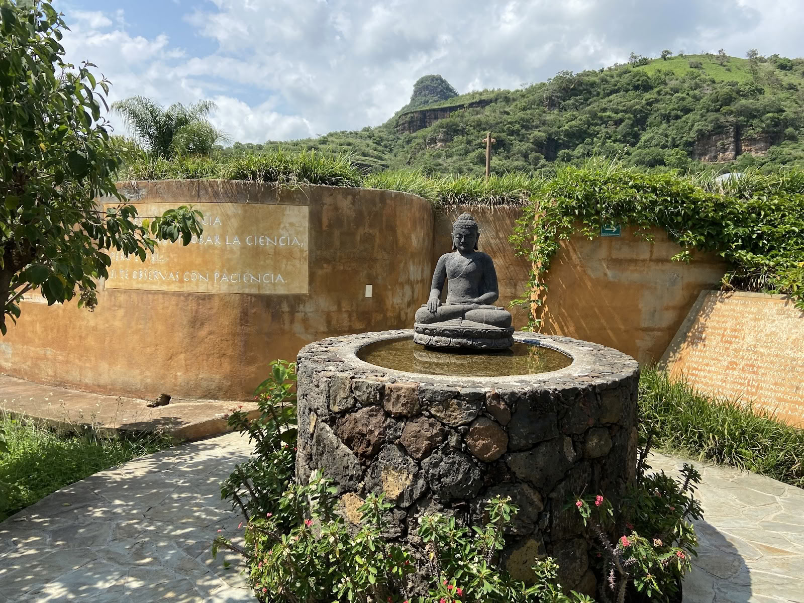 OLLINYOTL Holistic Center