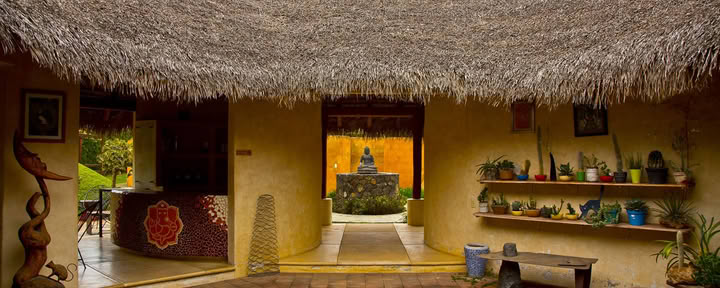 OLLINYOTL Holistic Center