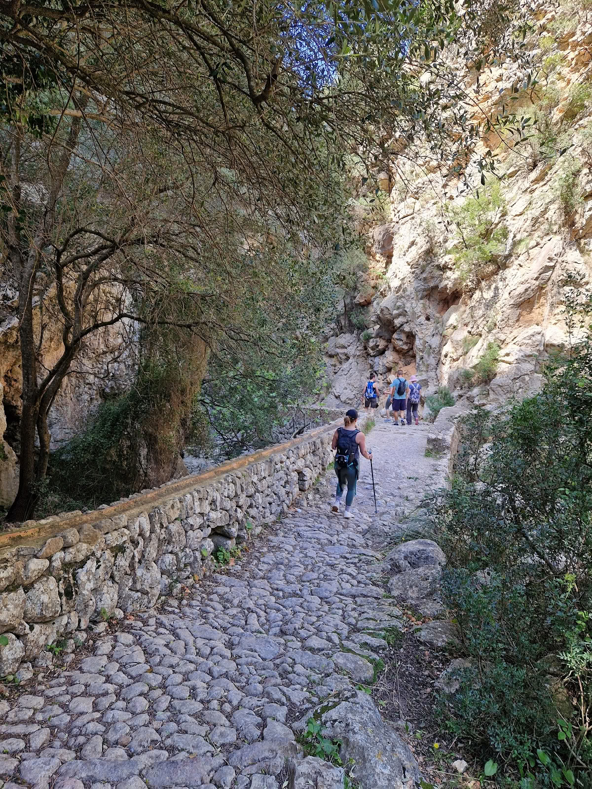 Retreats in Mallorca
