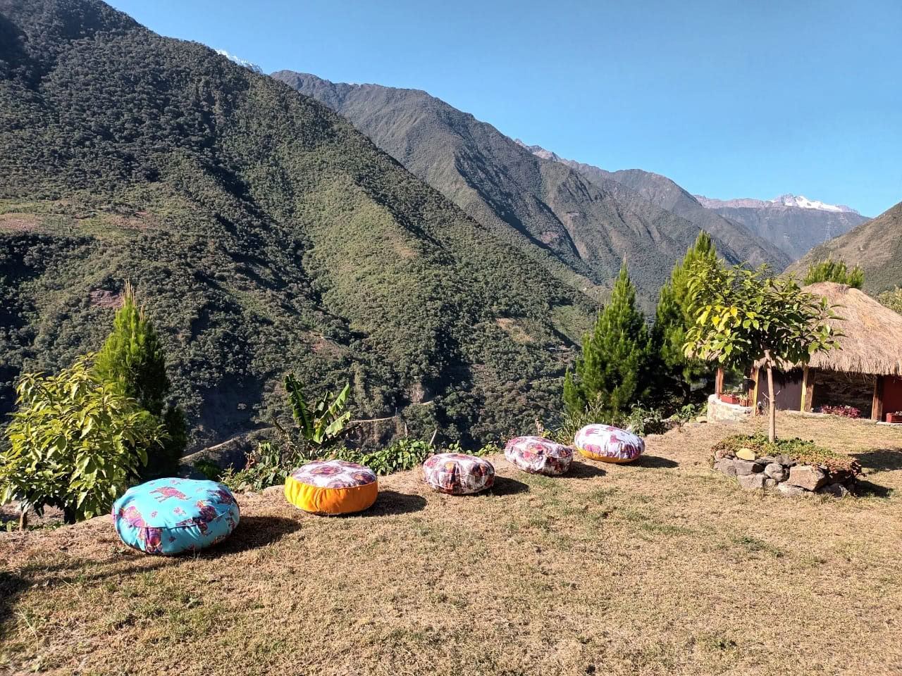 Onaya Ayahuasca Retreat