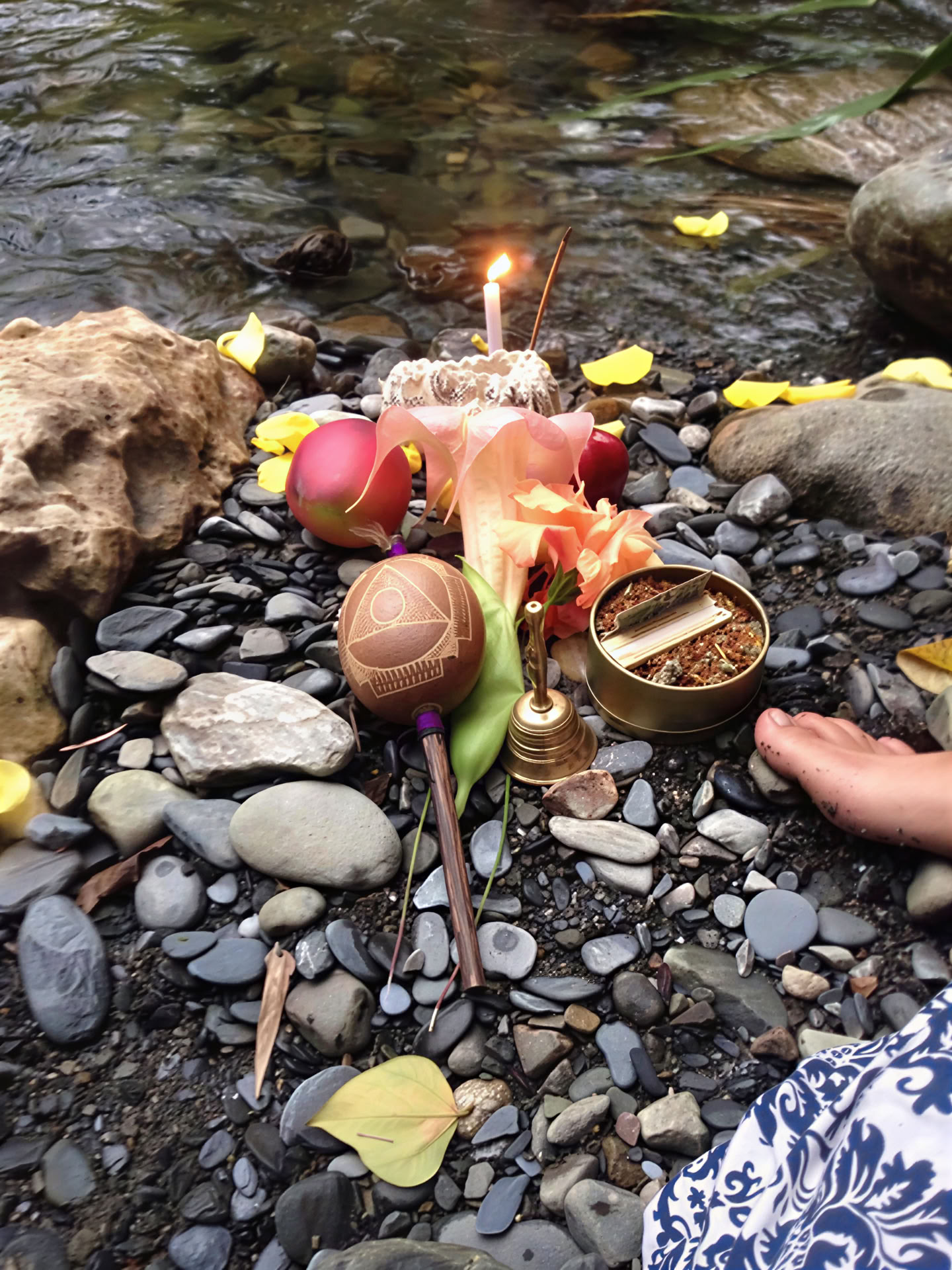 Casa del Sol Vilcabamba - San Pedro and Ayahuasca Retreat Center