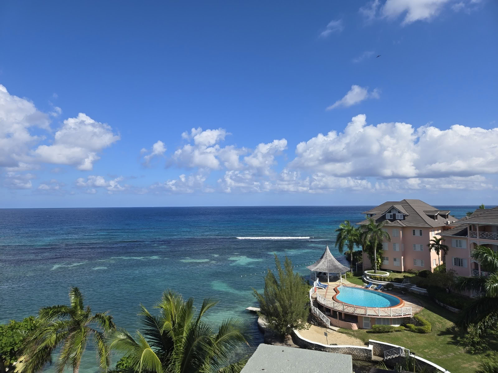 Mycelia Retreat Jamaica