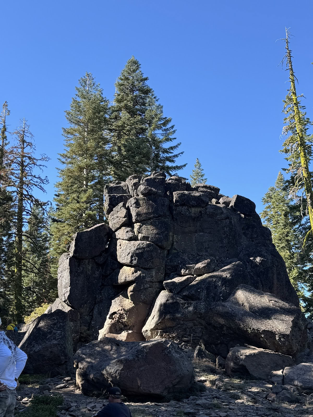 Mount Shasta Retreats