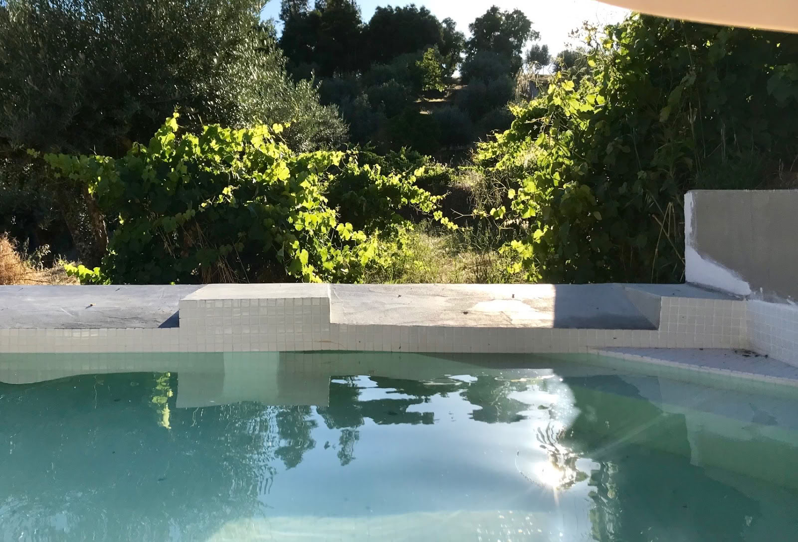 Relaxscape Retreat Portugal