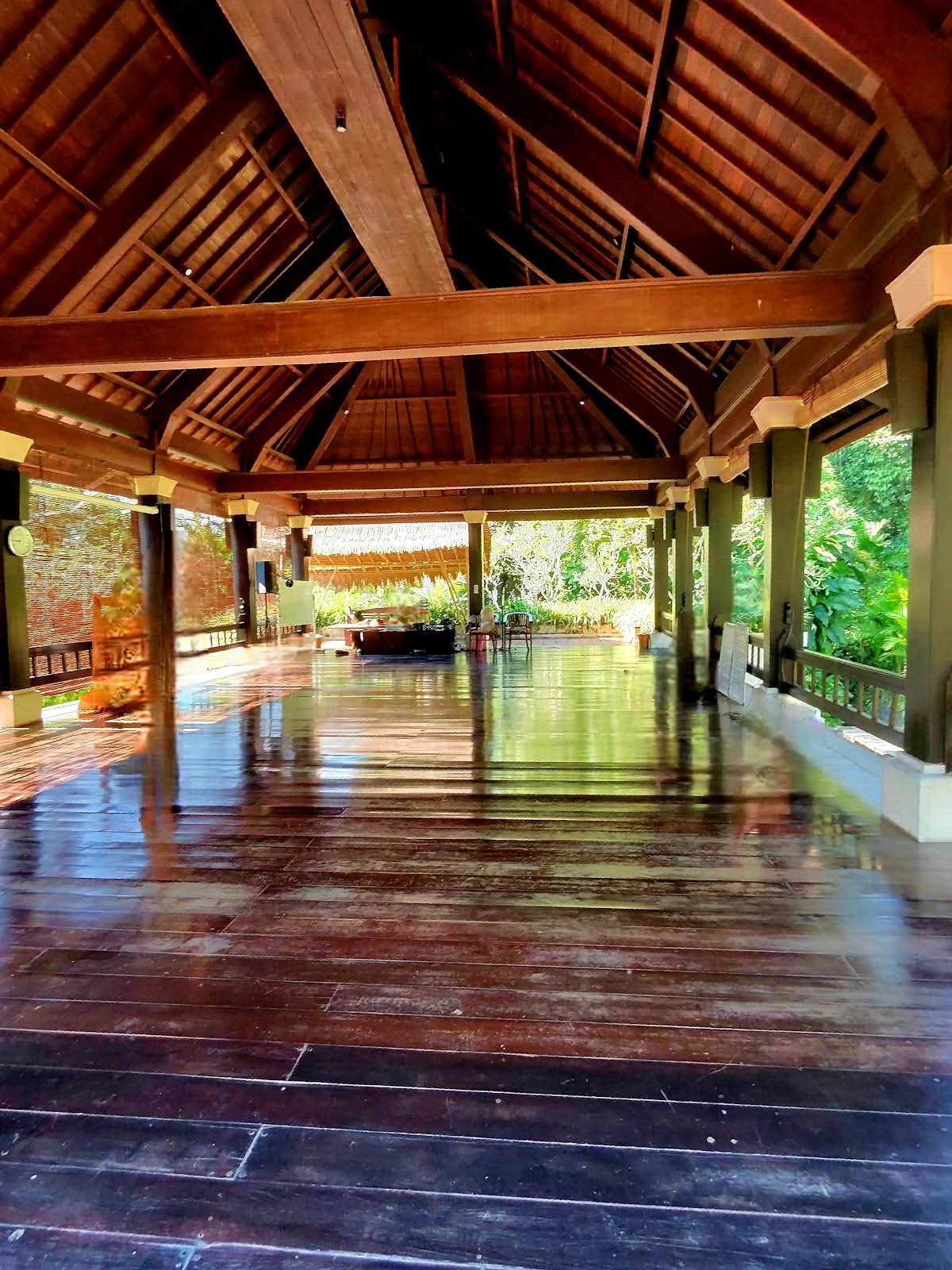 Forest Rock Qigong
