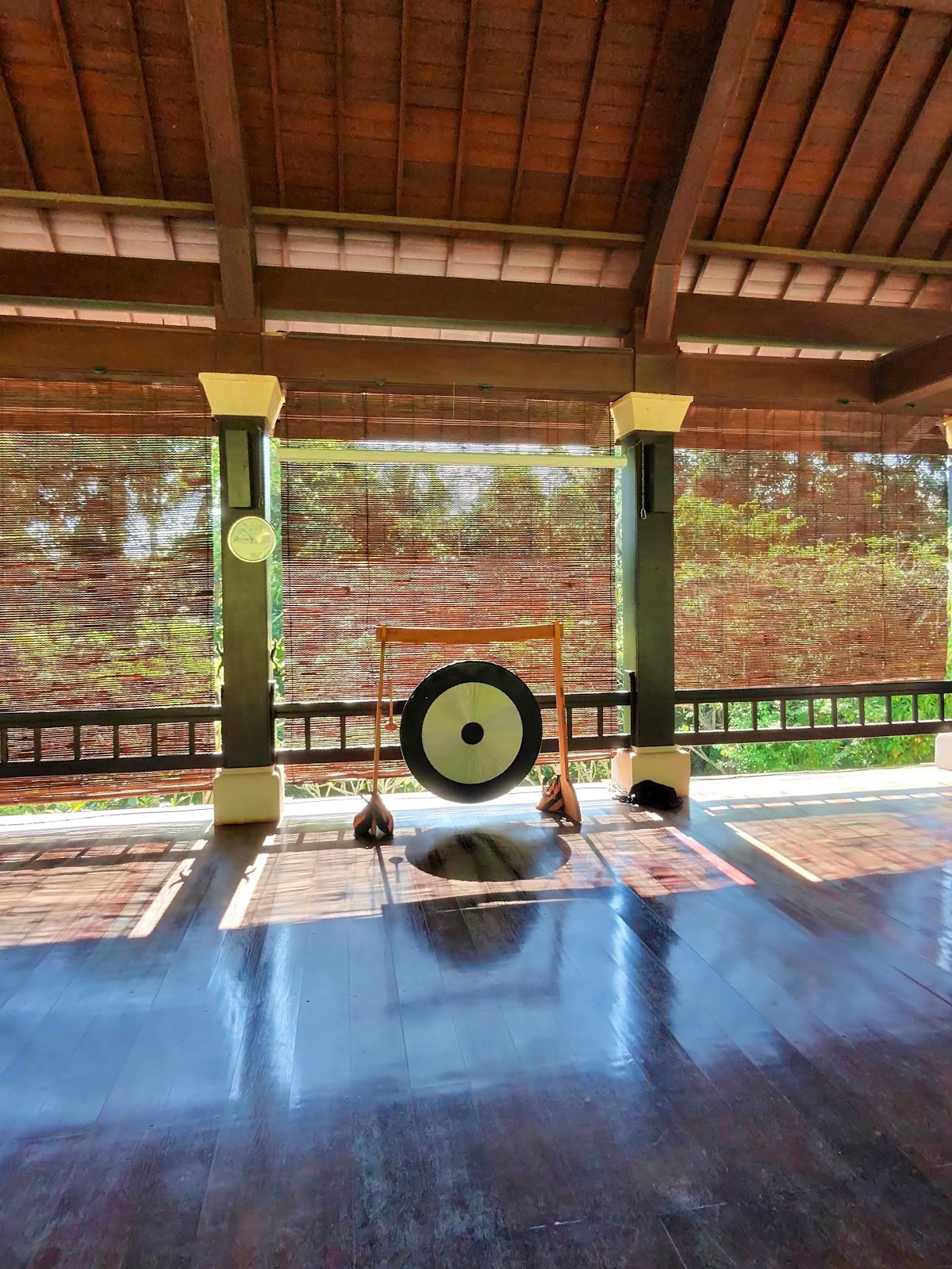 Forest Rock Qigong