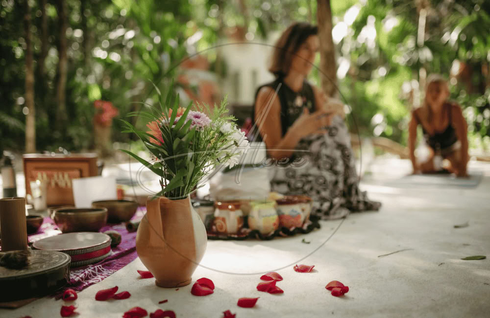 Aloee Wellness (Mexico Office)