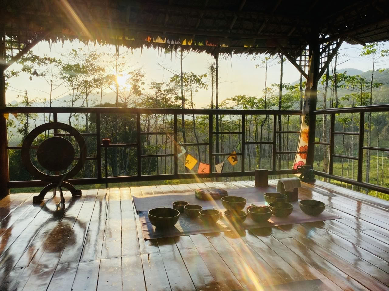 Khaosok Yoga เขาสกโยคะ
