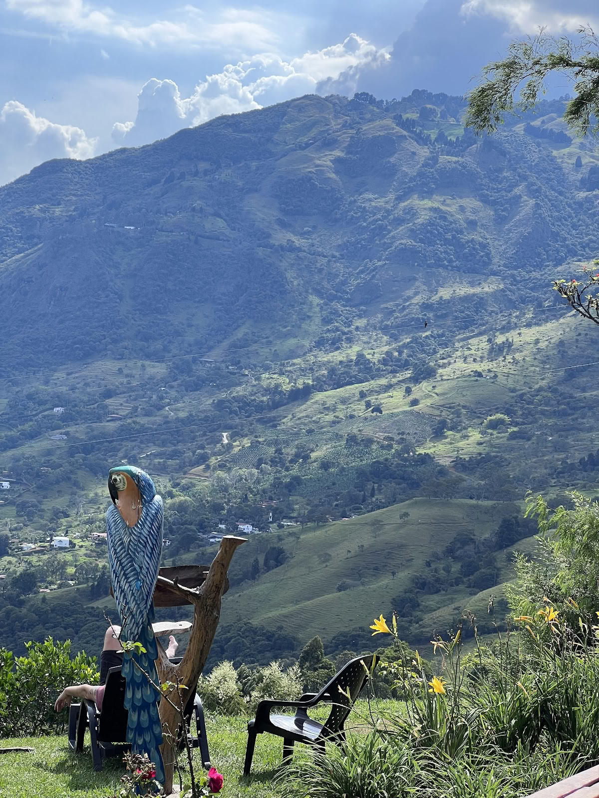 Harmonica Ayahuasca Retreat Colombia (formerly Guacamayo)