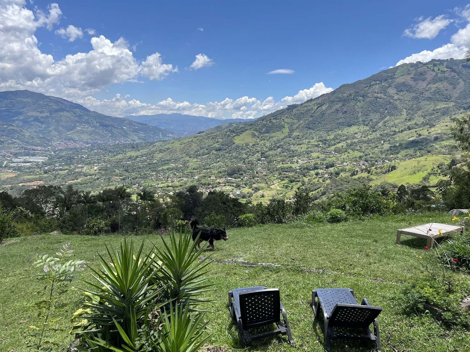 Harmonica Ayahuasca Retreat Colombia (formerly Guacamayo)