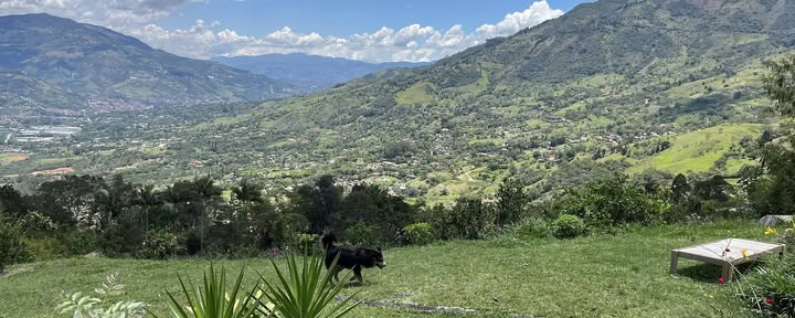 Harmonica Ayahuasca Retreat Colombia (formerly Guacamayo)
