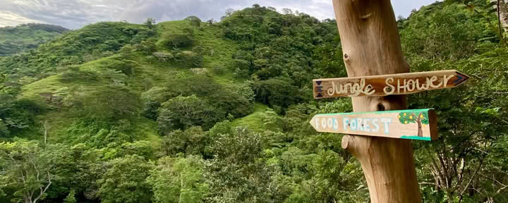 The Jungle Hub