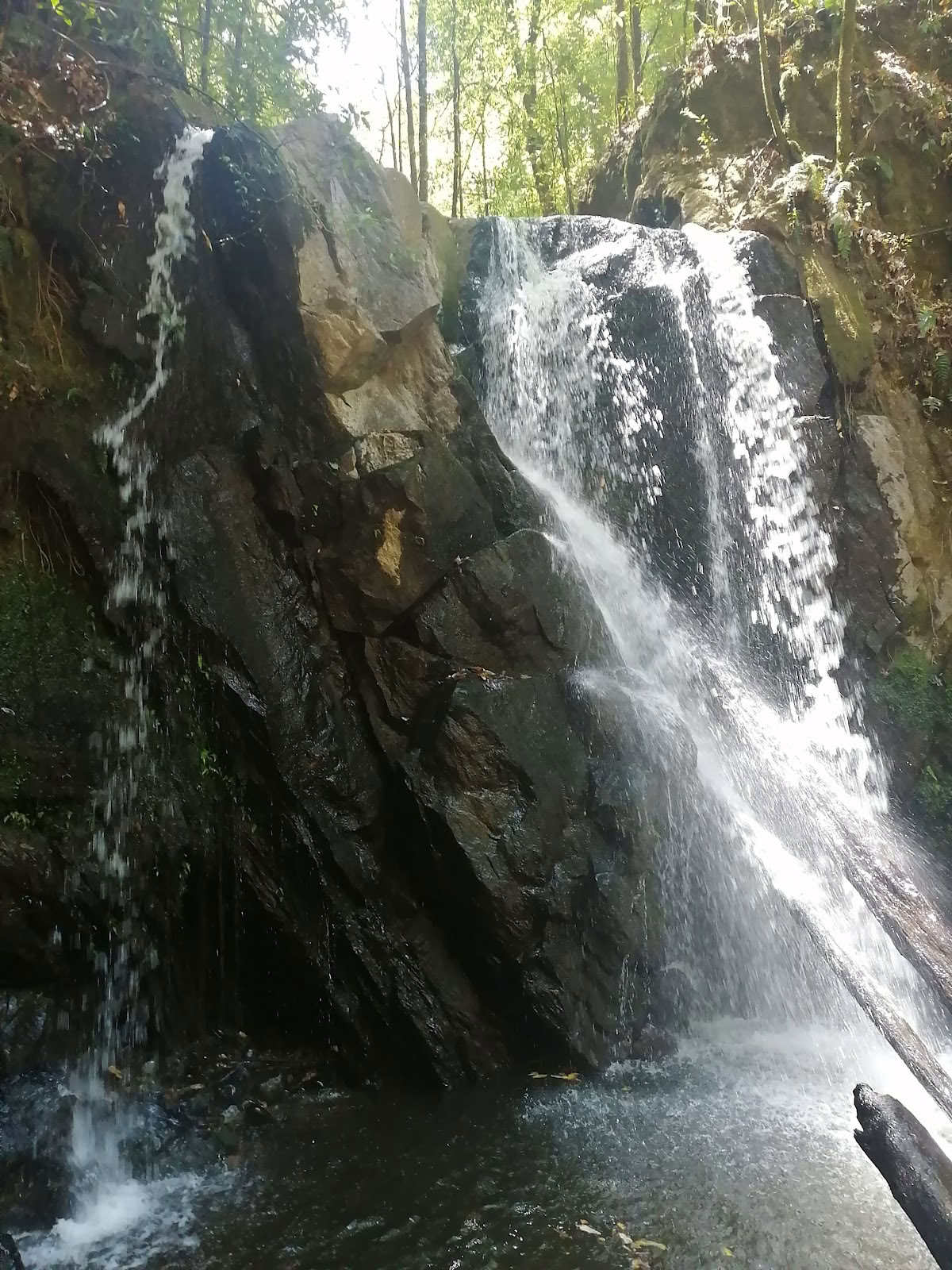Vision Quest