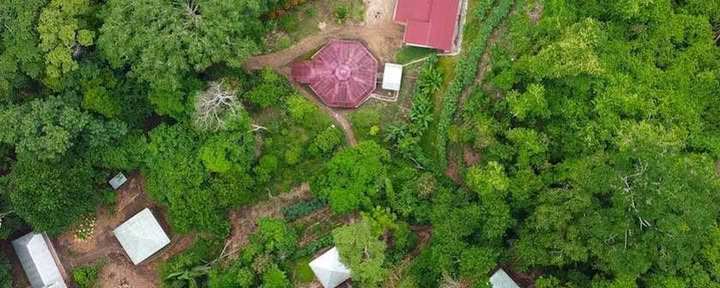 La Musa Verde