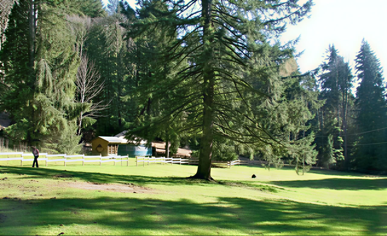 Xenia Retreat Centre