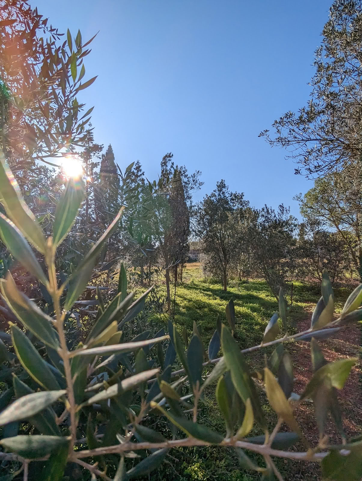 Soul Garden Retreats Mallorca