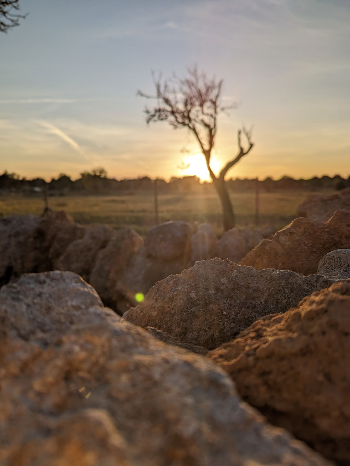 Soul Garden Retreats Mallorca