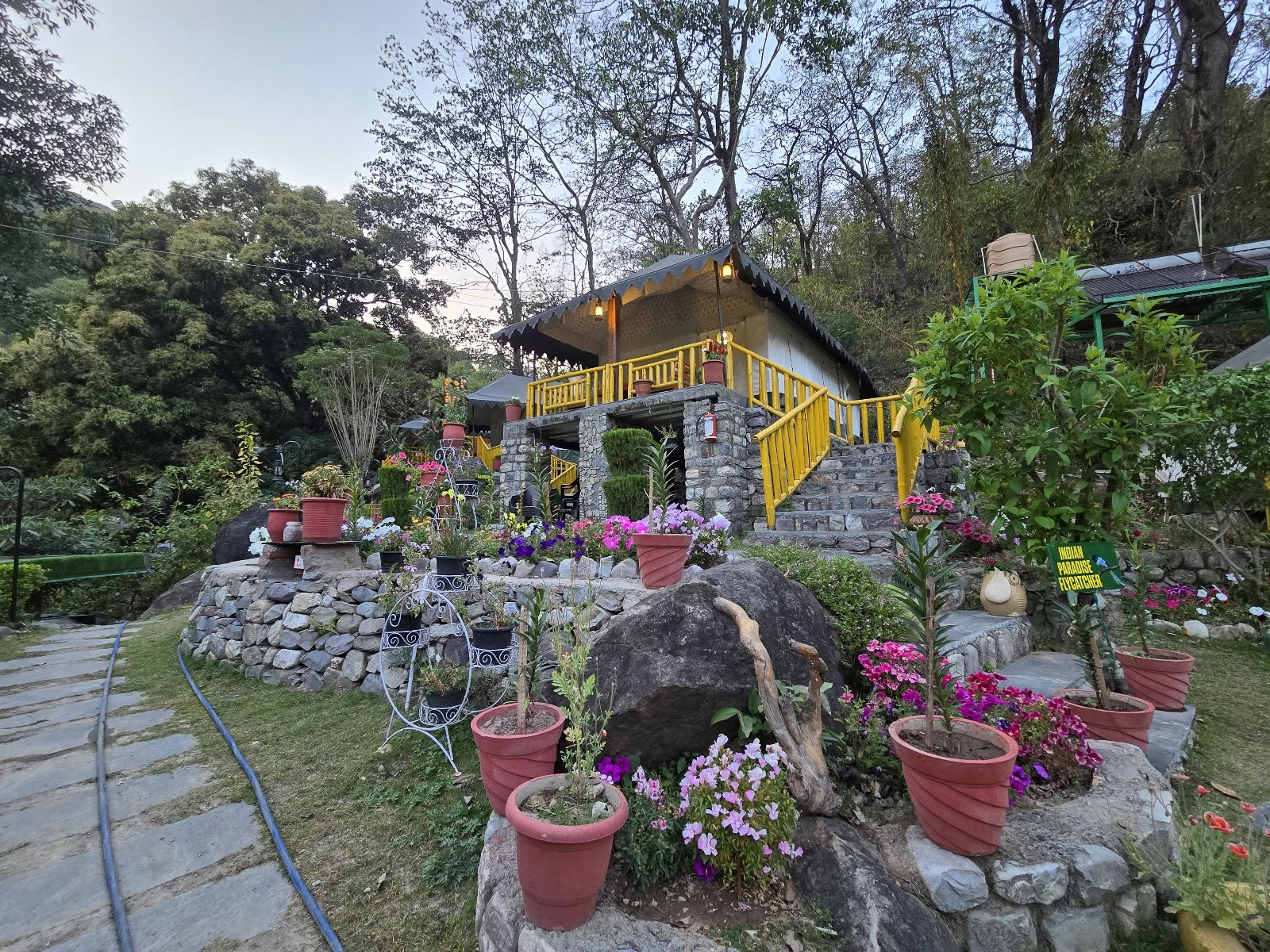 Sahaj Retreat - A Holistic Wellness Centre