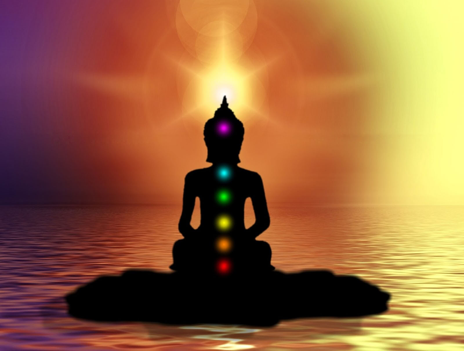 Dr. Lara May - Light Body Healing & Consulting
