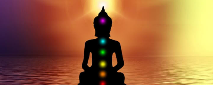 Dr. Lara May - Light Body Healing & Consulting
