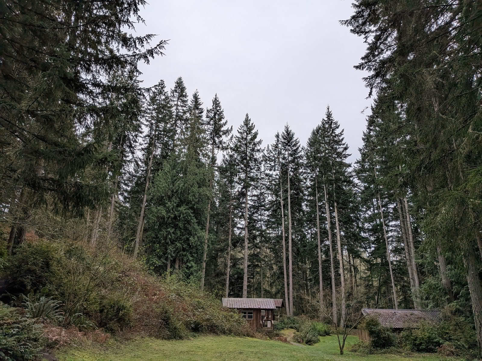 The Whidbey Institute