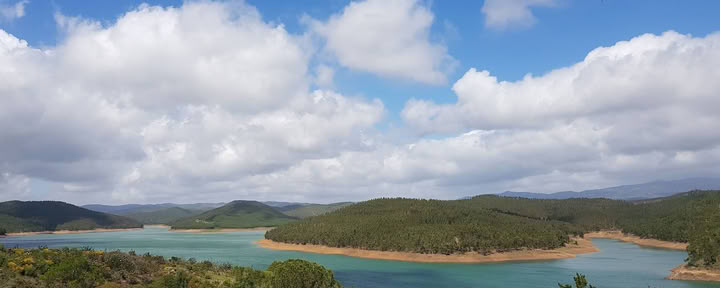 Moinhos Velhos Juice Detox & Yoga Retreat