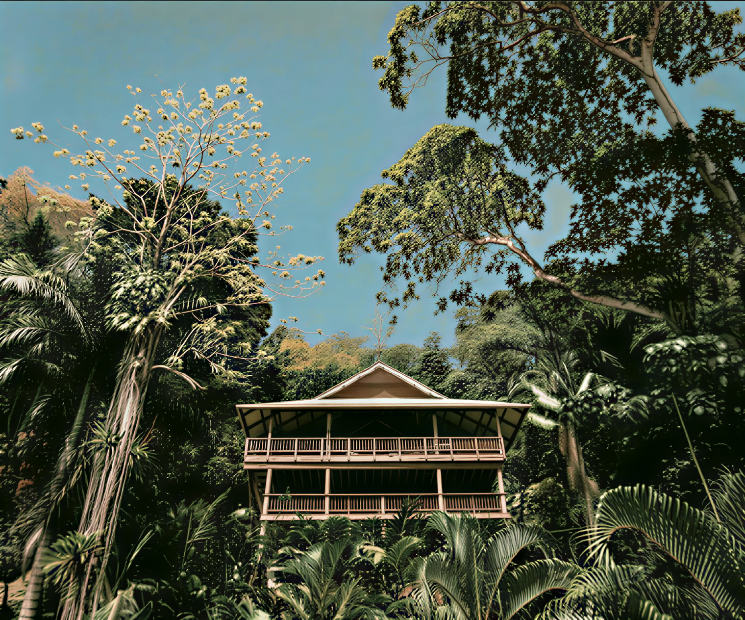Roam Yoga & Wellness