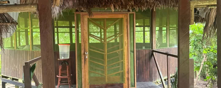 Lighthouse! Ayahuasca Retreat