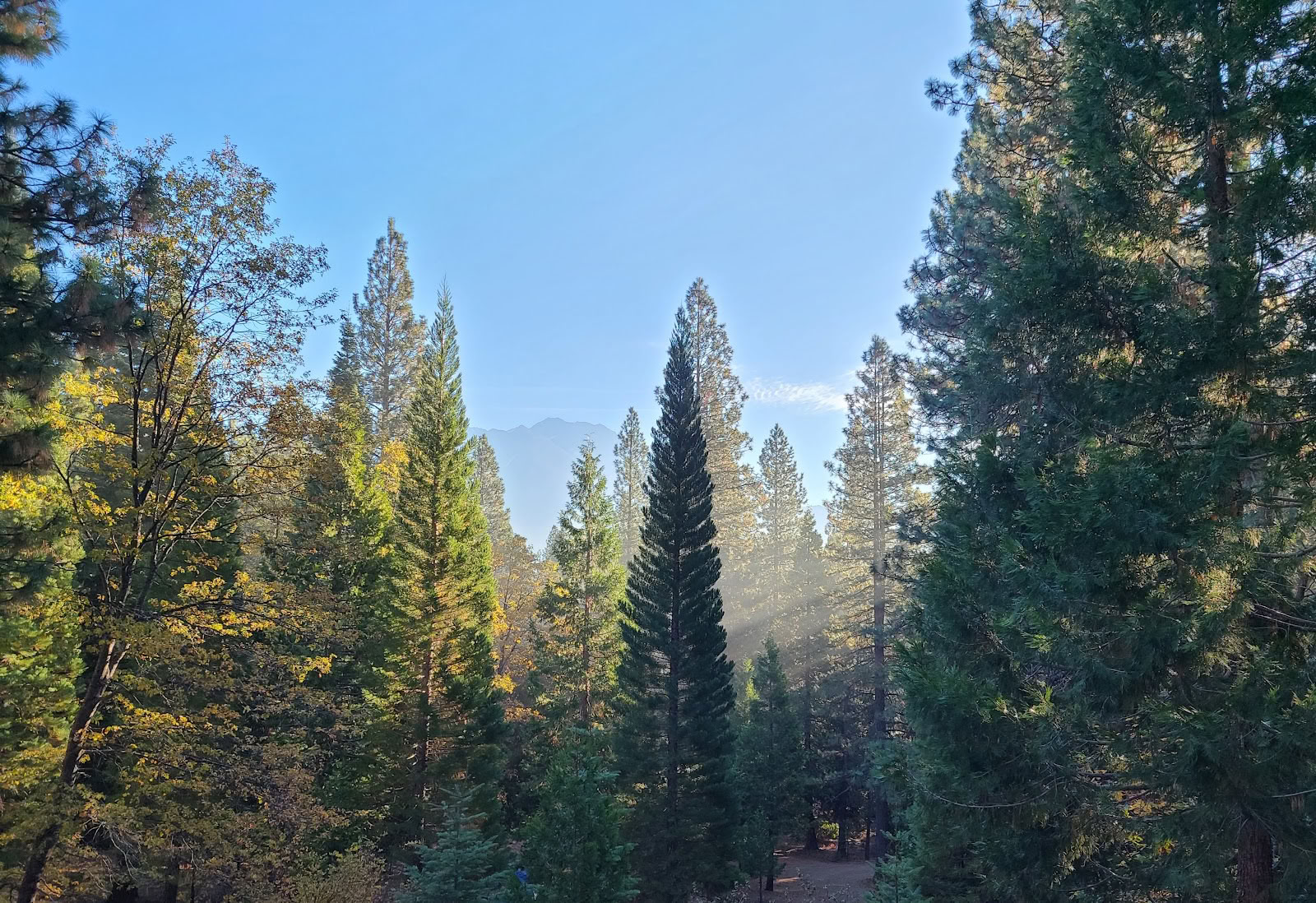 Sacred Valley Spiritual Retreats