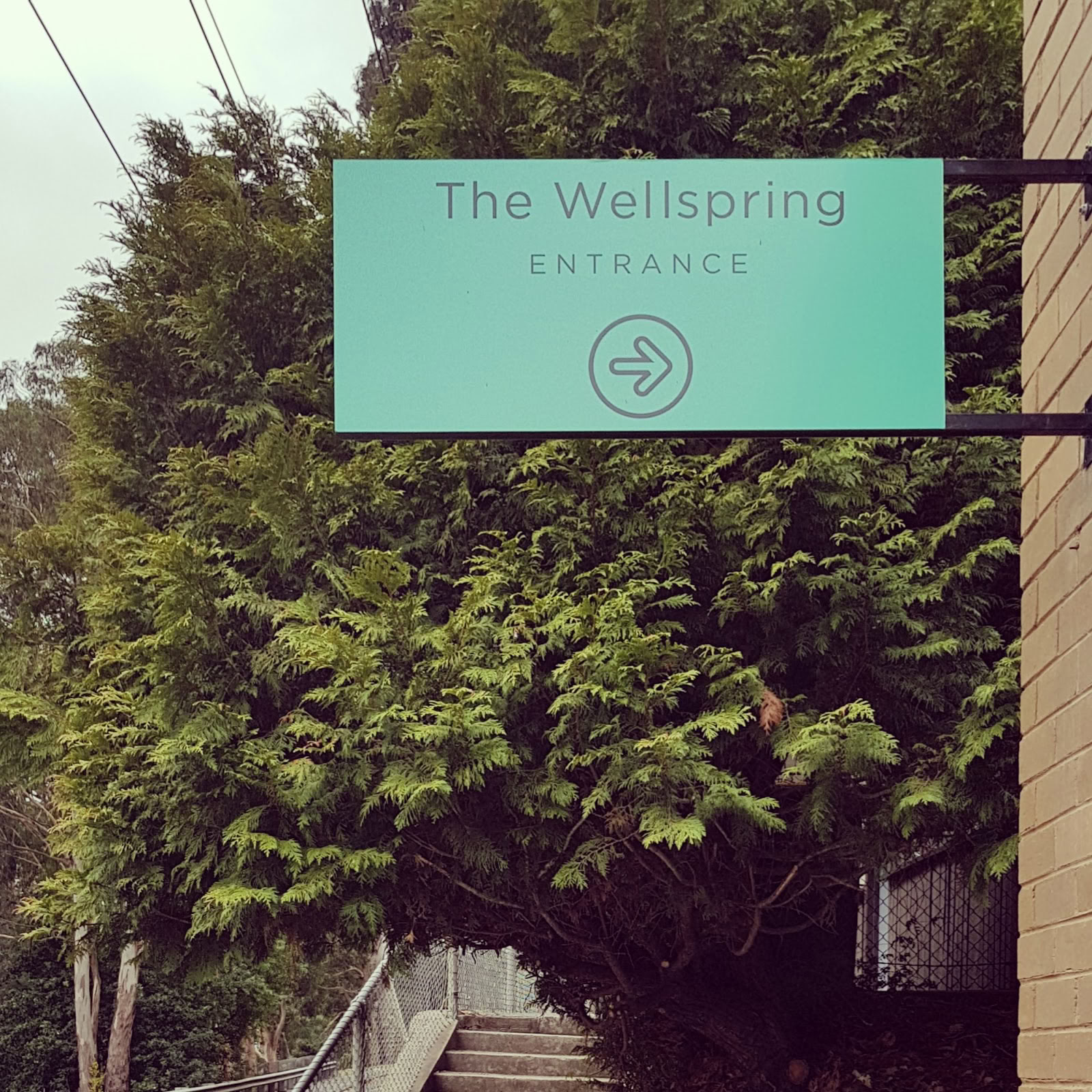 The Wellspring - Warburton