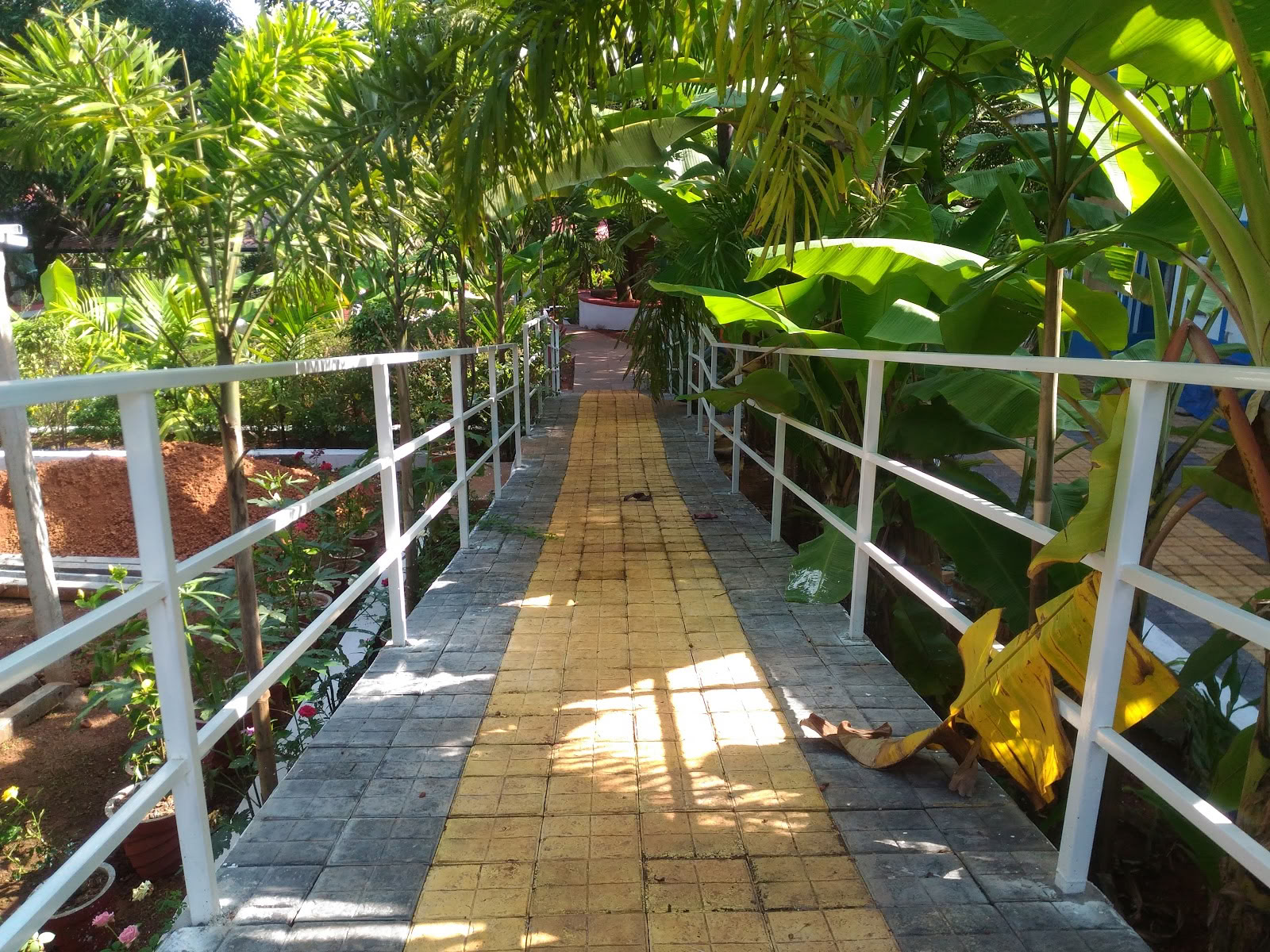 Preksha Yoga