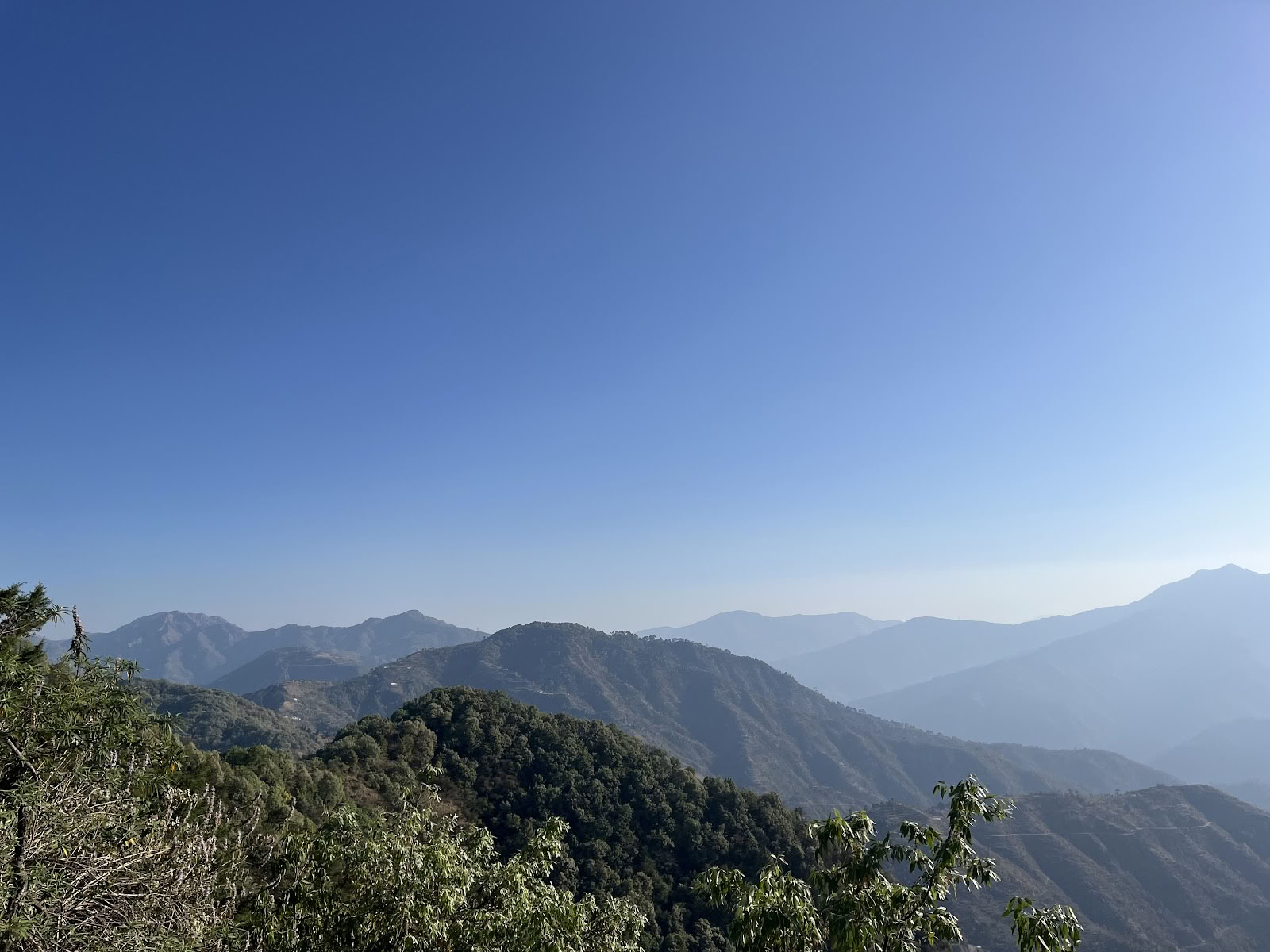 Japam Yoga, Treks and Tours LLP (Studio)