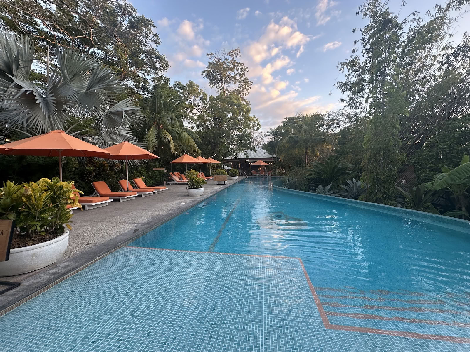 Bodhi Tree Yoga Resort