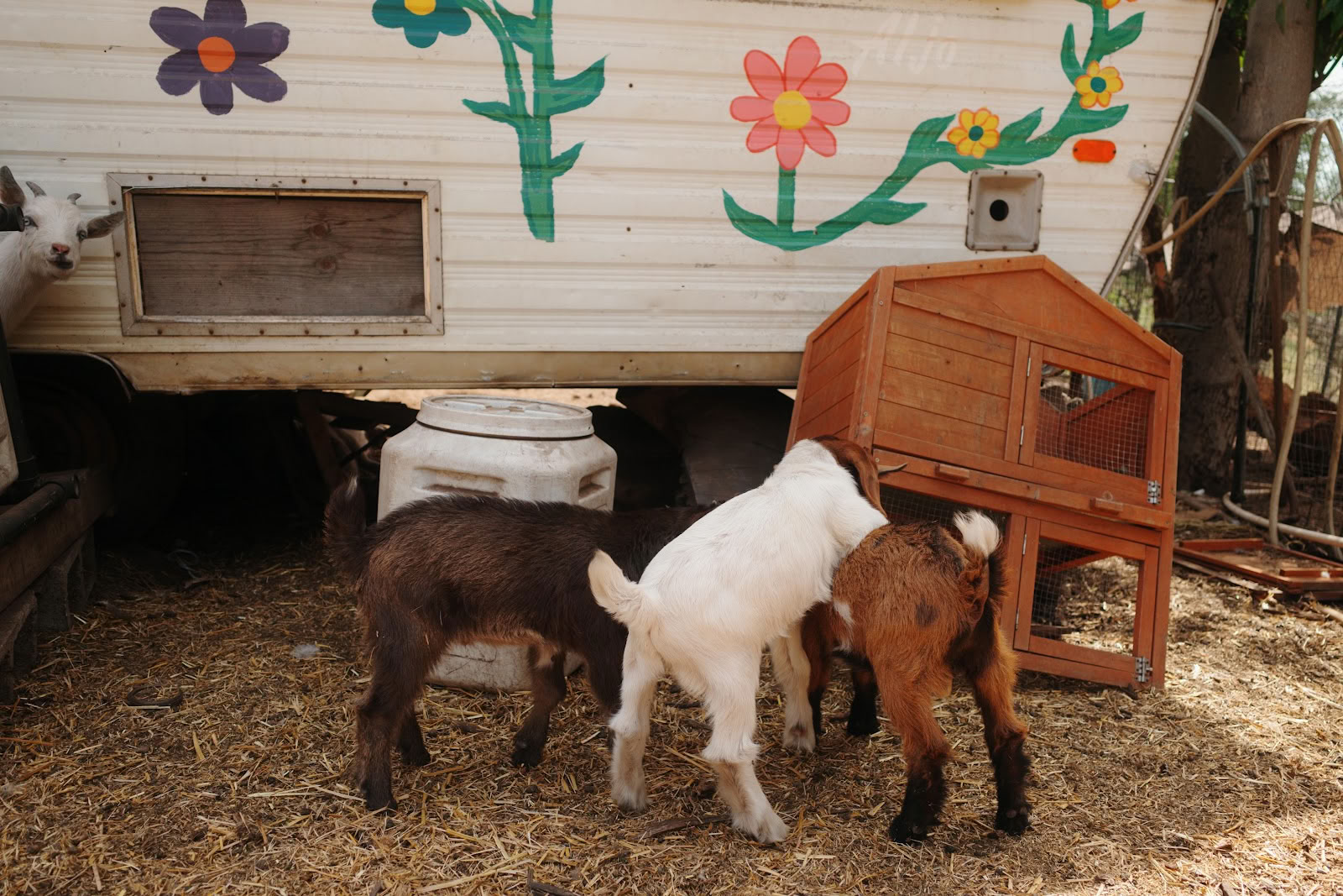 Splitrock Farm and Retreat