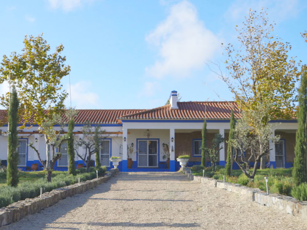 Tabula Rasa Retreat - Europe’s Preferred Ibogaine Treatment Center for Luxury Ibogaine Treatment | Therapy Clinic | Addiction