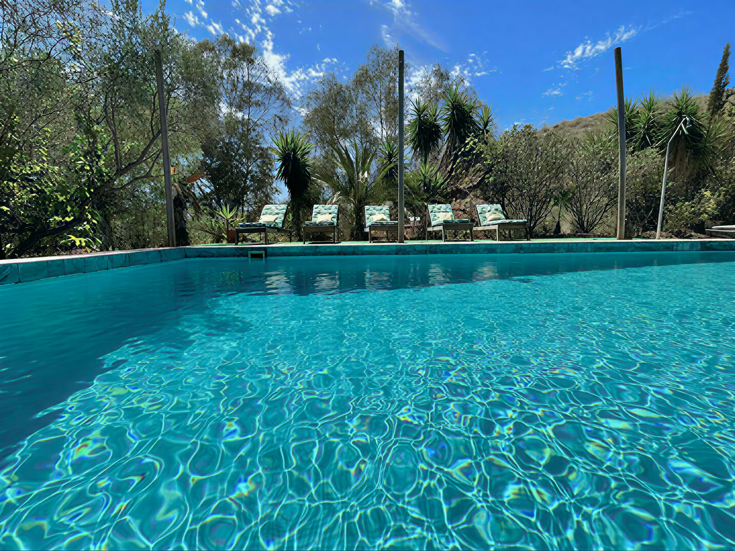 The Holistic Health Retreat