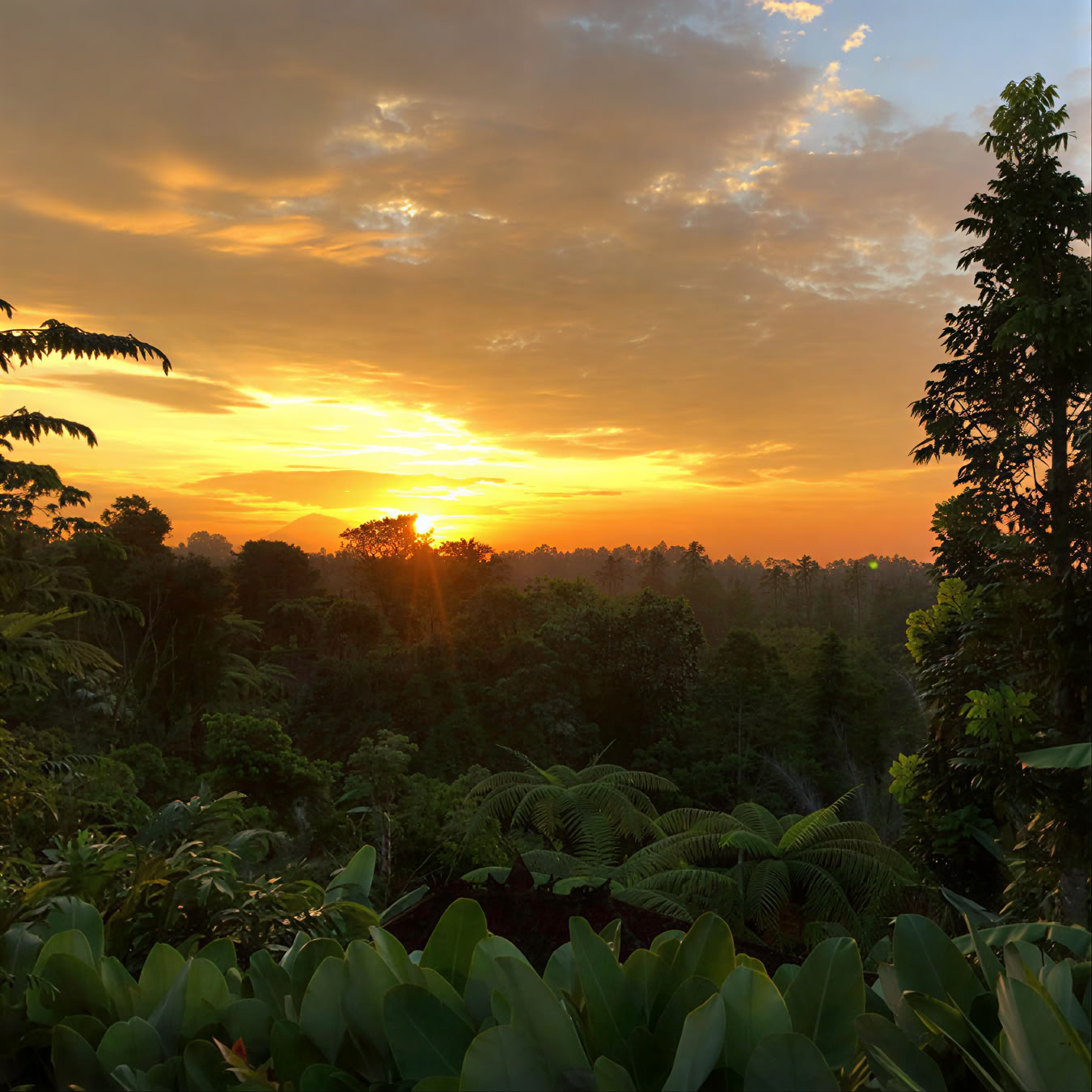Samasthala Yoga - 200-hour Bali Yoga Teacher Training in Bali