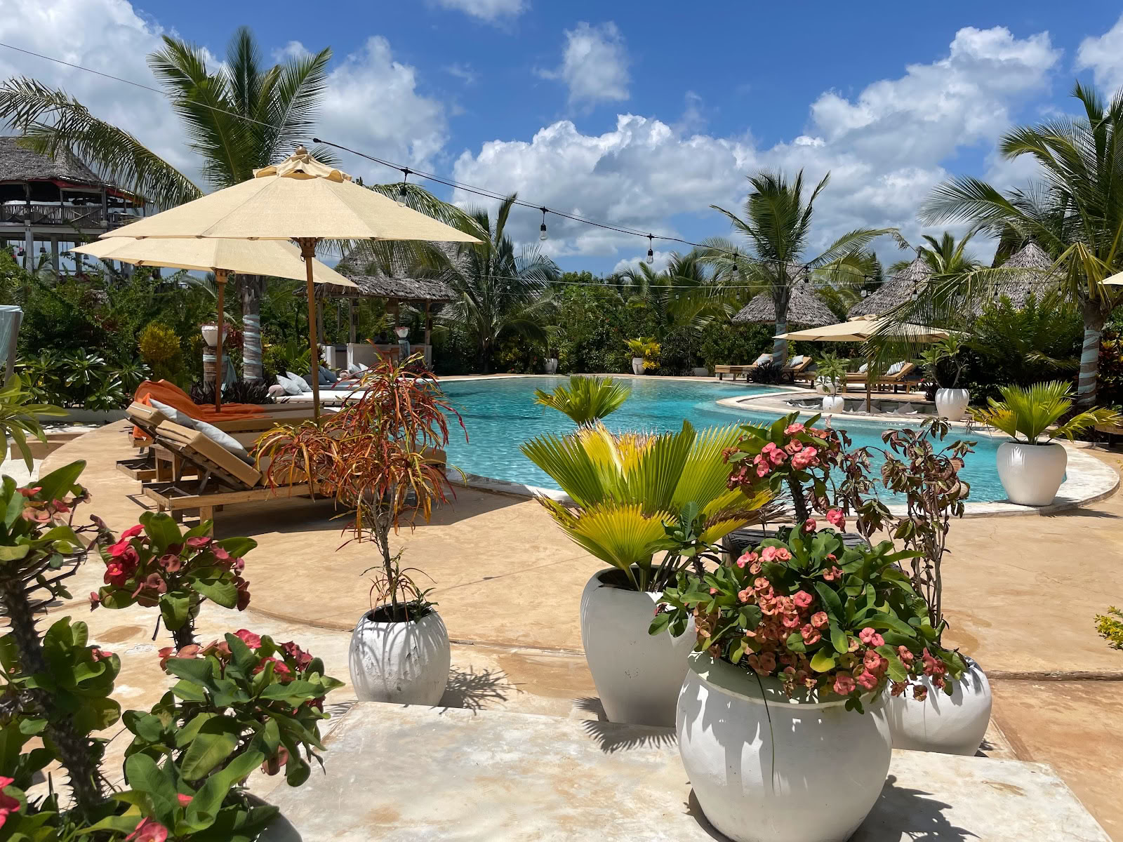 Zen Boutique Retreat & Resort
