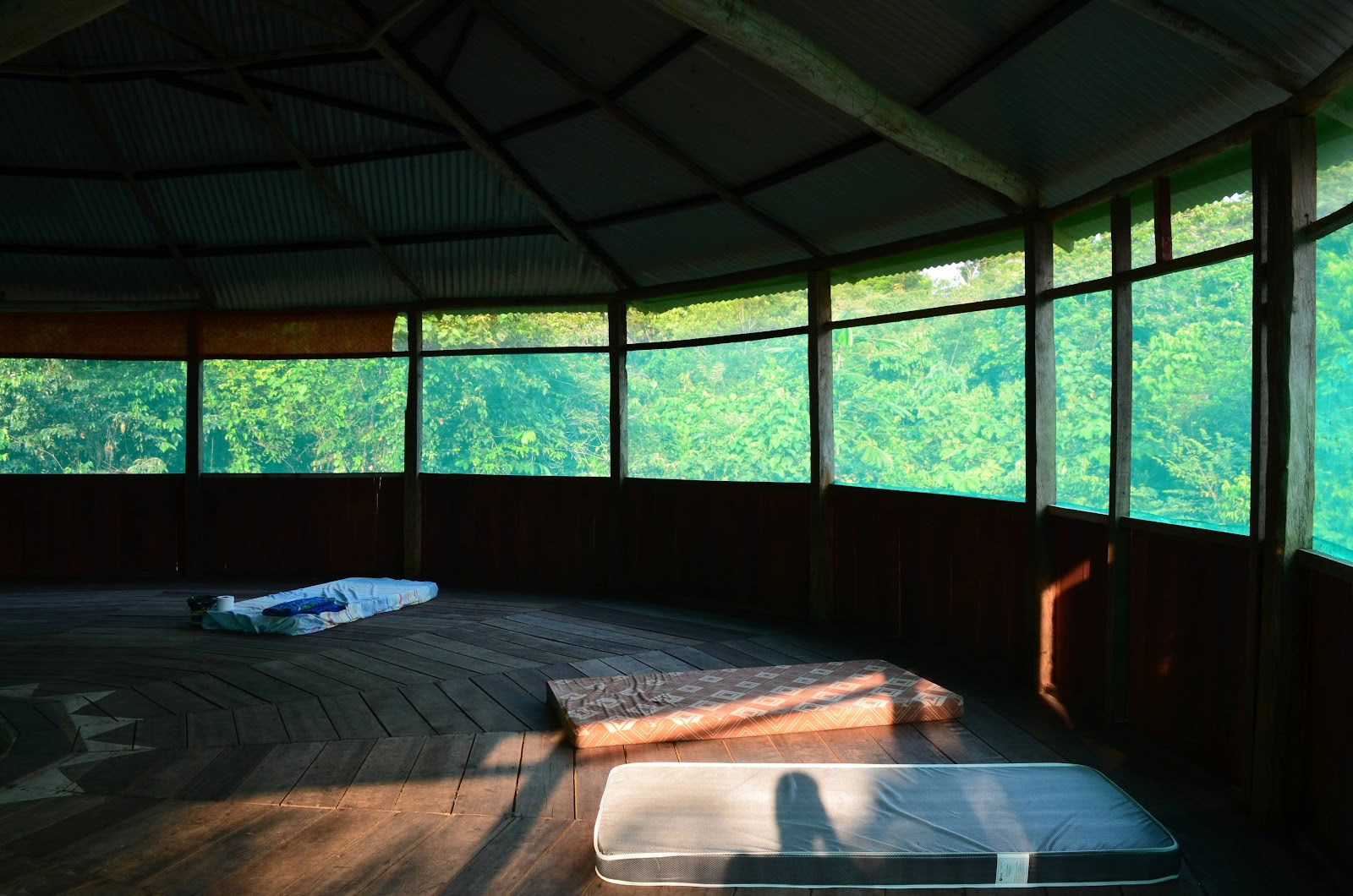 Official, Selva Madre Ayahuasca Retreat Iquitos Peru