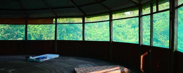 Official, Selva Madre Ayahuasca Retreat Iquitos Peru