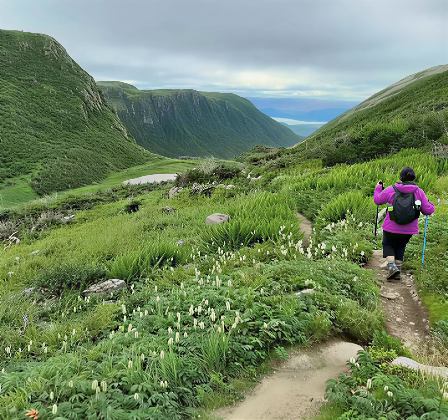 Transform Gros Morne Retreats
