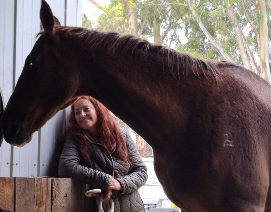 Heart of the Horse- Working with Horses helping people to heal