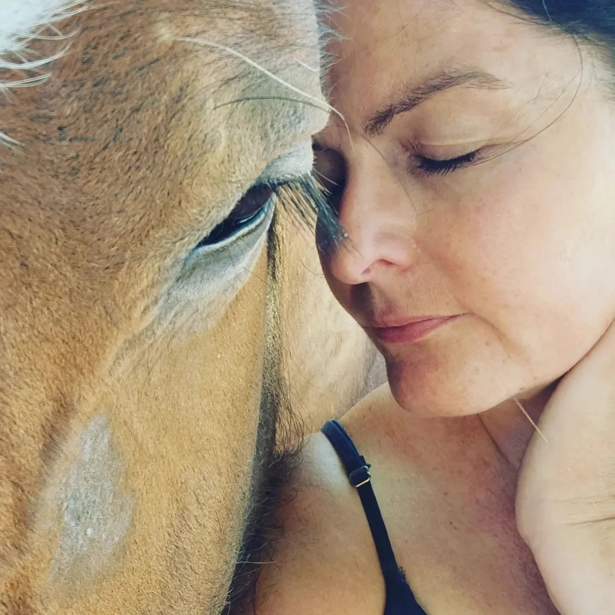 Heart of the Horse- Working with Horses helping people to heal