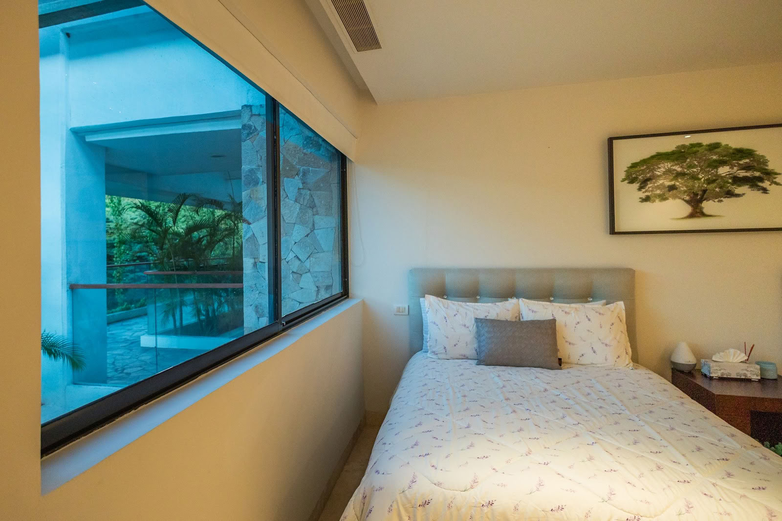 Kambo Wellness Center