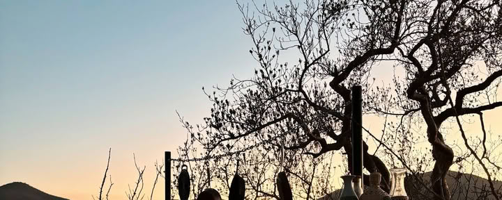 ETÉREO | Baja California Sur
